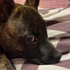 Meet your Posher, Eileen